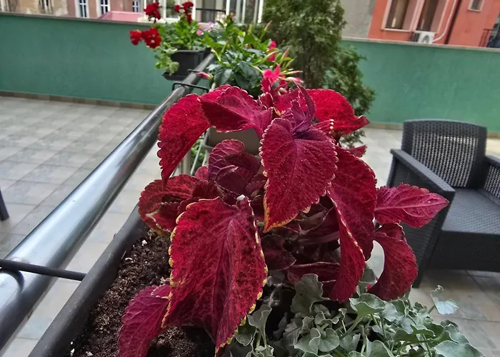 Bright House Aparthotel Plovdiv