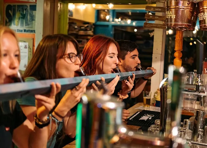 The Flying Pig Beach Hostel Age 18 To 40 Noordwijk