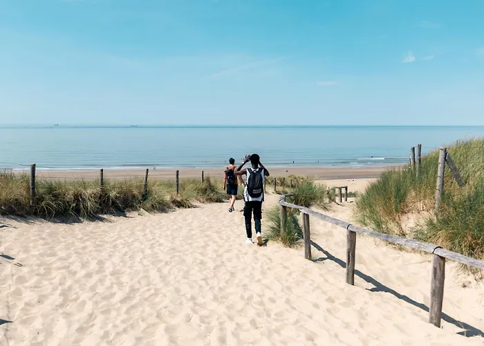 The Flying Pig Beach Hostel Age 18 To 40 Noordwijk