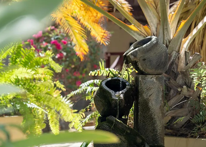Bamboo Bonaire By Boutique Bonaire Unique Resorts Kralendijk