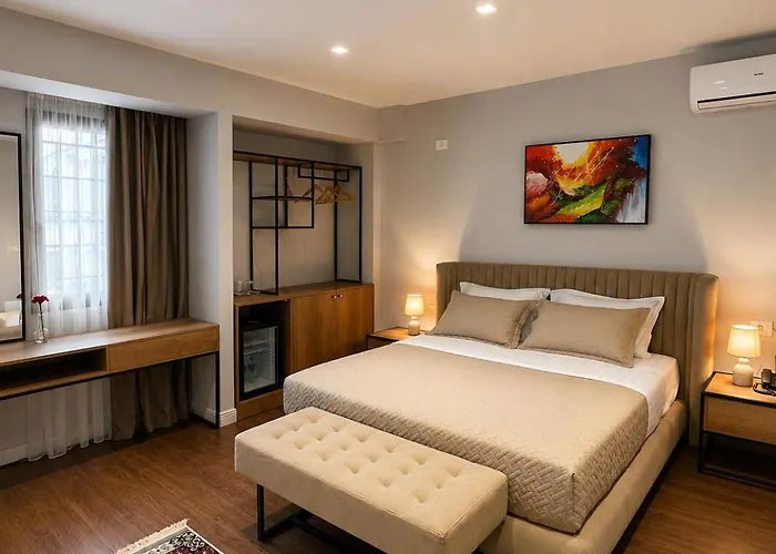 313 Villa City Center Tirana