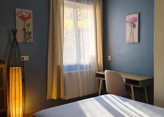 M55 Studios Batumi