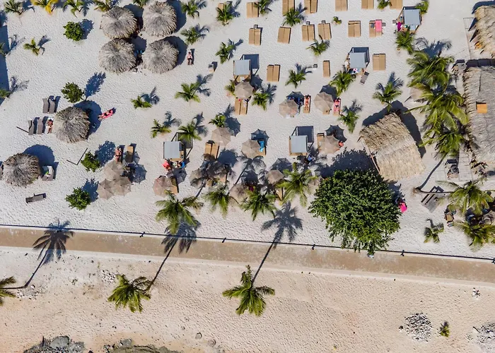 Chogogo Dive & Beach Resort Bonaire Kralendijk