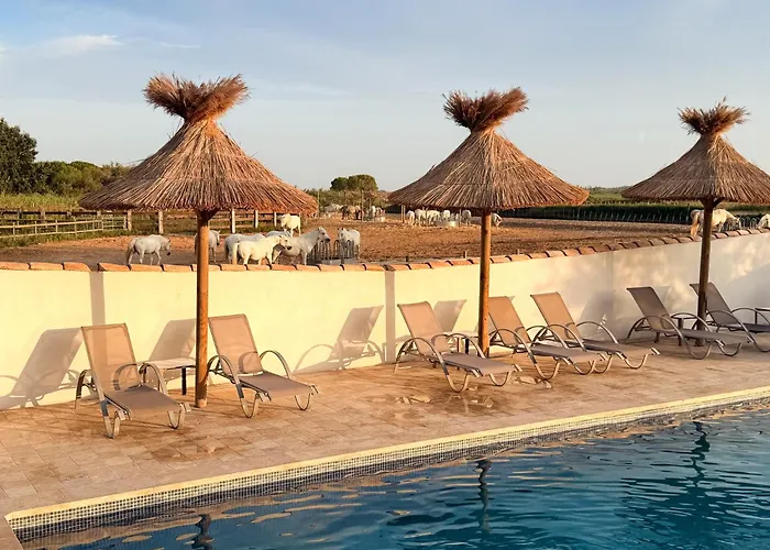 Hotel Mas Des Barres Saintes-Maries-de-la-Mer