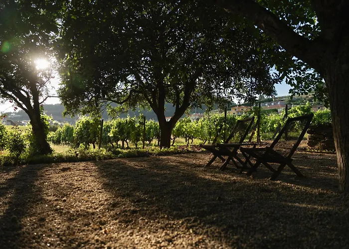 Morgadio Da Calcada Douro Wine&Tourism Guest House Pinhão