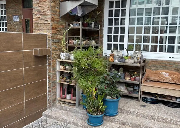 Holby No.8 Elevator Homestay Taitung