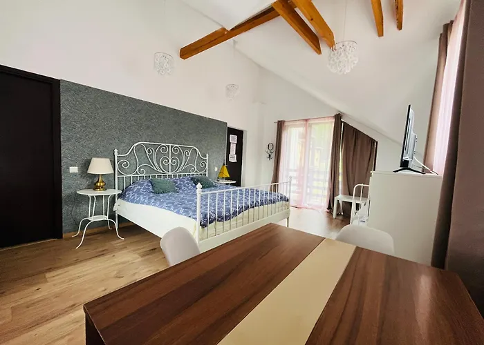 Vila Mama Jana Busteni