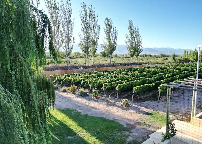 Rincon Del Malbec 1 Hotel Lujan de Cuyo