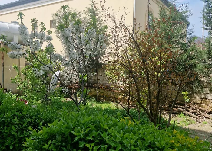 An Economic Studio Room In The Garden Baku