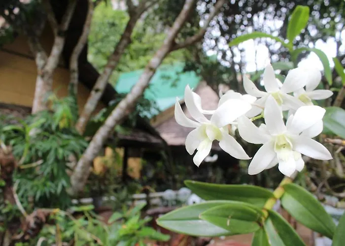 Cliffside Cottages El Nido