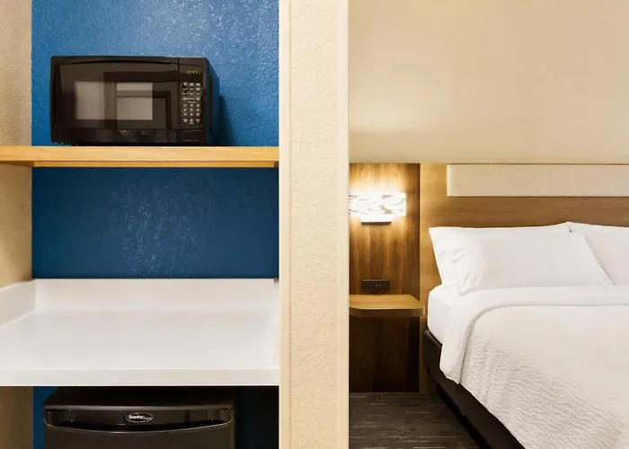 Holiday Inn Express & Suites Tampa Stadium - Airport Area By Ihg