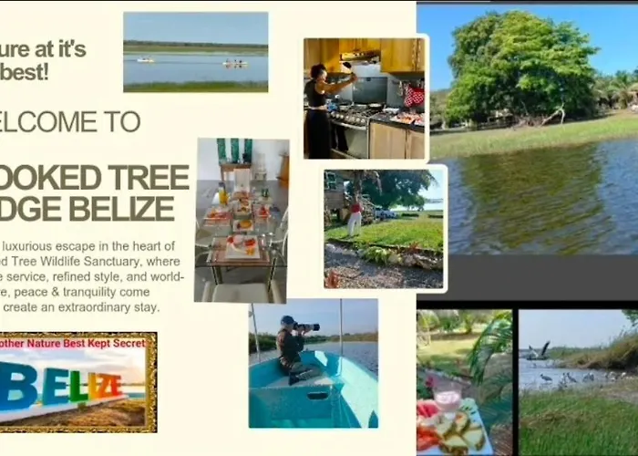 Crooкed Tree Lodge Belize Crooked Tree