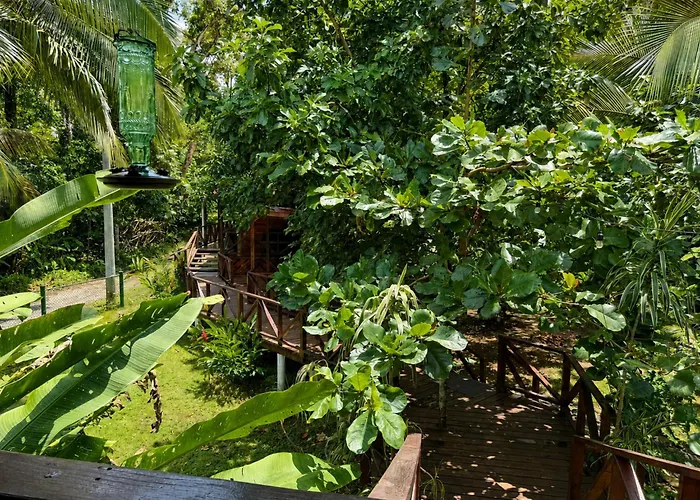 Oasis Bluff Beach Bocas Town