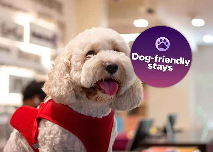 Premier Inn Dubai Al Jaddaf - An Emirates Group Company