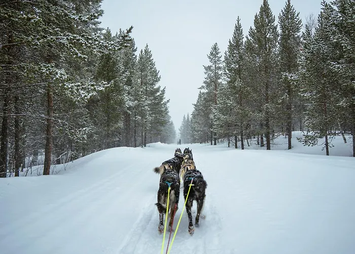 Holmen Husky Lodge Alta