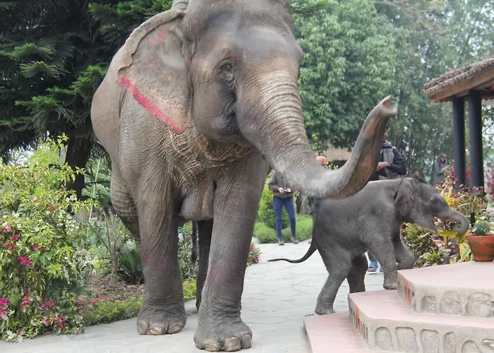 Hotel Sapana Village Lodge Chitwan