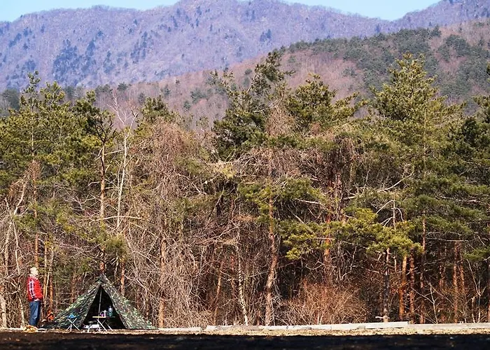 Pica Fuji Saiko Lake Campsite Fujikawaguchiko