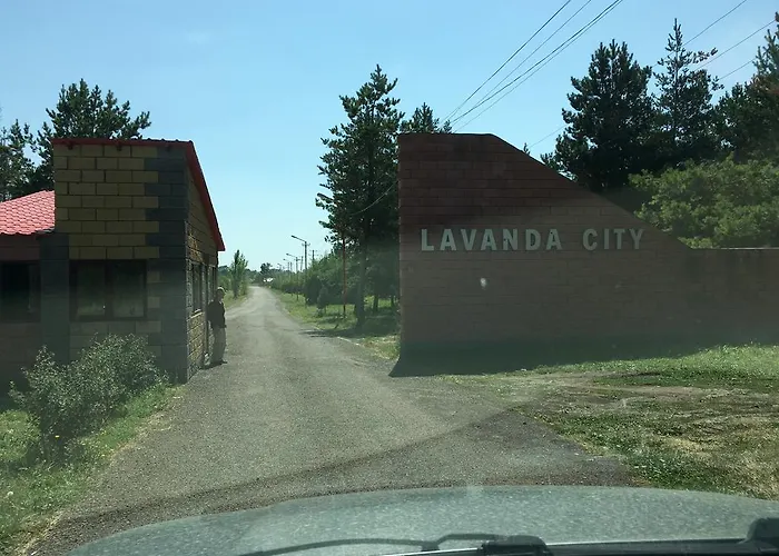 Lavanda City 3-1 Sevan
