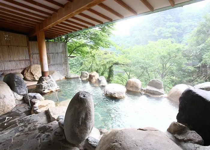 Hotel New Ohruri Nikko