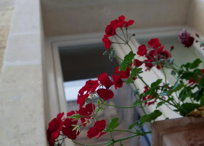 19Venti Bed & Breakfast Lecce