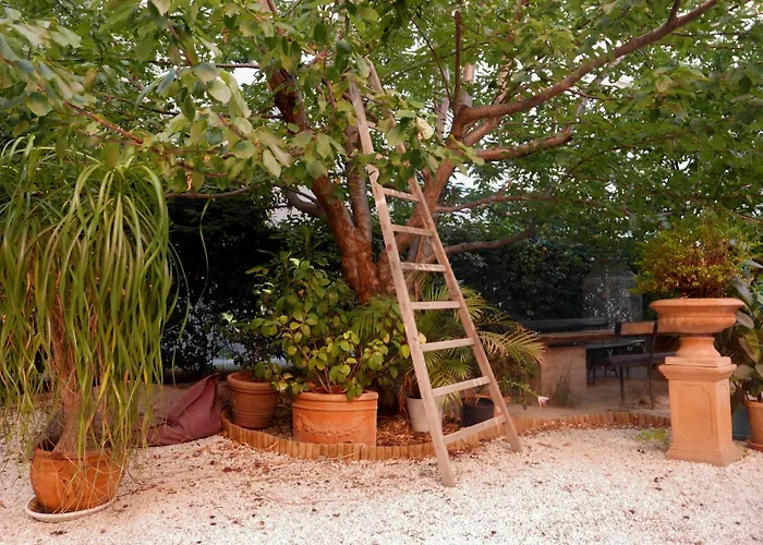 Jardin Vieux Port Panier Hotel Marseille