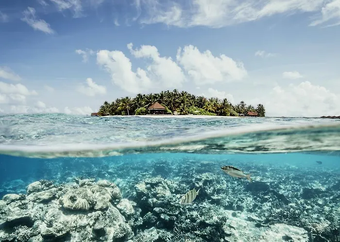 Robinson Maldives - Adults Only Hotel Meradhoo