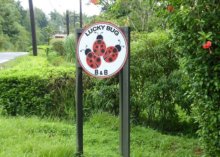 Lucky Bug Bed And Breakfast Nuevo Arenal