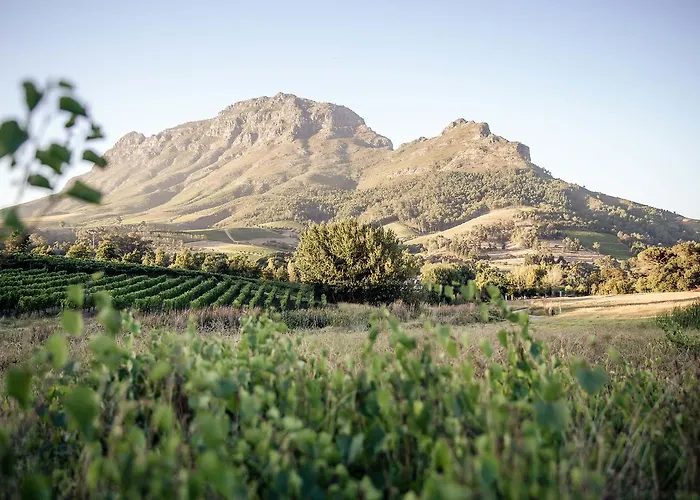 Le Pommier Wine Estate Villa Stellenbosch