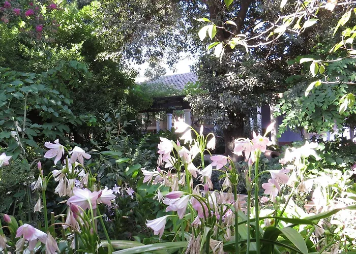 Hotel Boutique Quinta Maria Santa Cruz