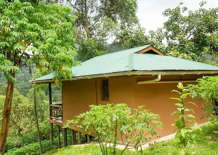 Ichumbi Gorilla Lodge Kisoro