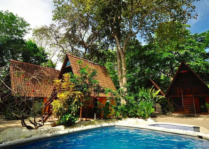 Howler Monkey Hotel Montezuma