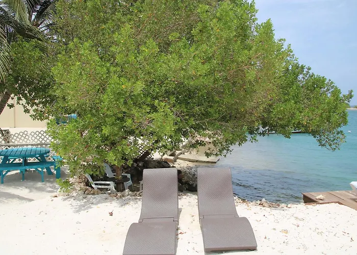 Coral Reef Beach Savaneta