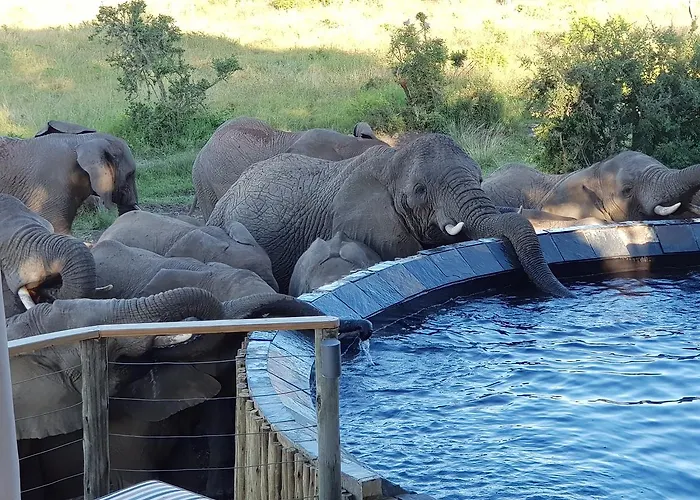 Nambiti Plains Lodge Ladysmith