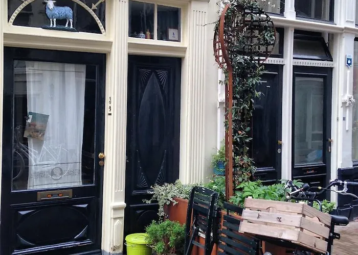 The Blue Sheep Amsterdam