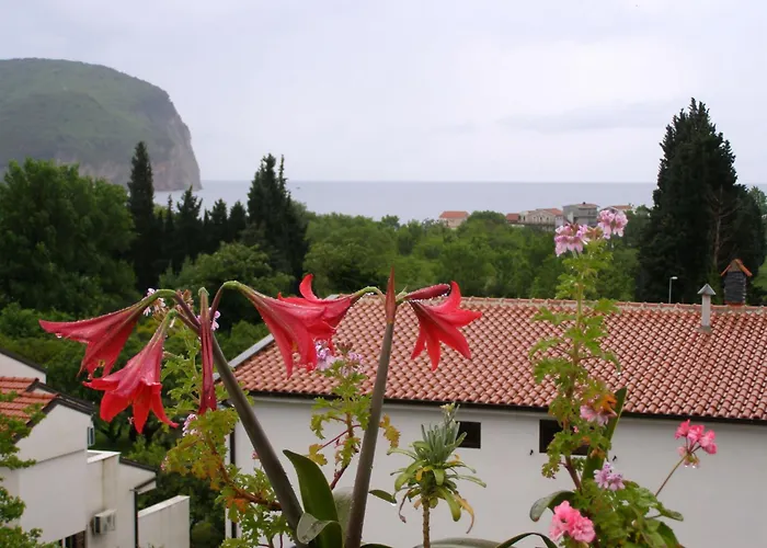Hotel Wellness & Spa Angelo Gabriel Petrovac