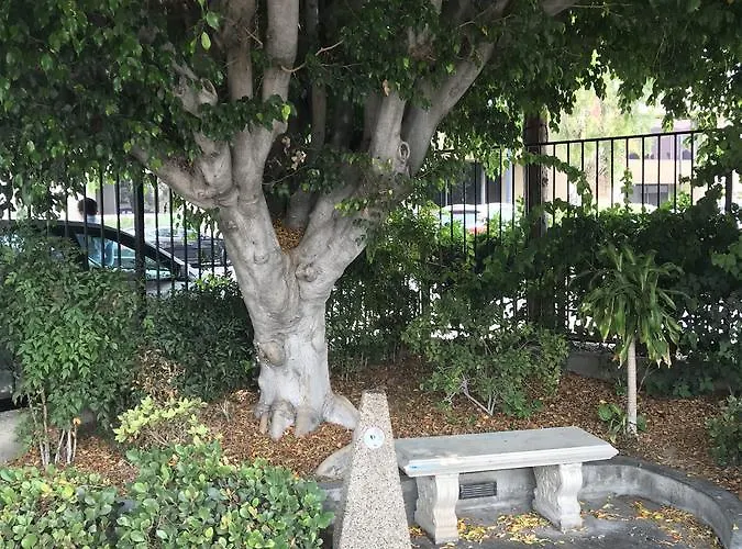 Akua Motor Hotel Anaheim