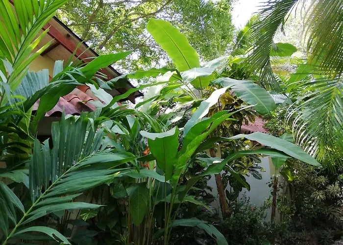 Funky Monkey Lodge Playa Santa Teresa 