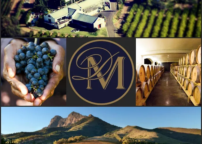 Marianne Wine Estate Bed & Breakfast Stellenbosch