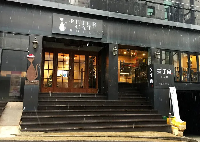 Petercat Hotel Shinchon Seoul