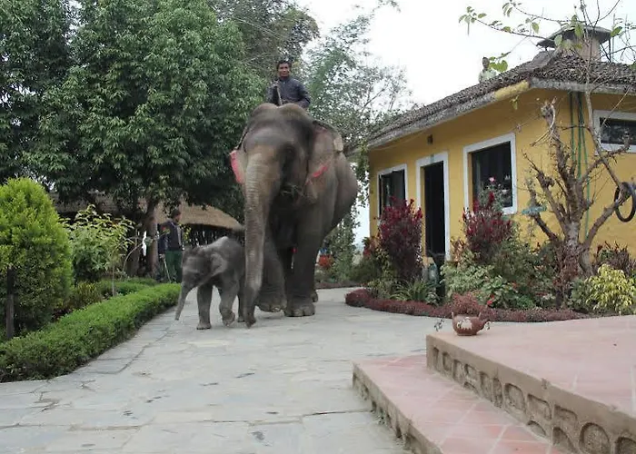 Hotel Sapana Village Lodge Chitwan
