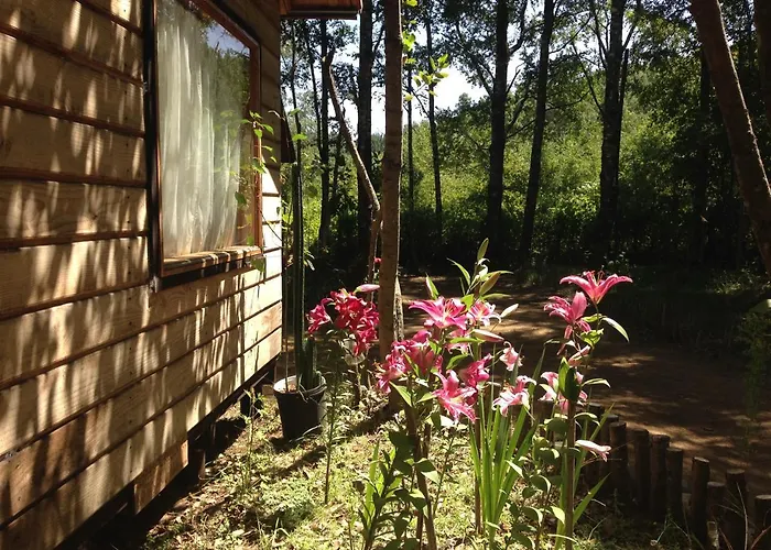 Eco-Cabanas Quetroleufu Pucon