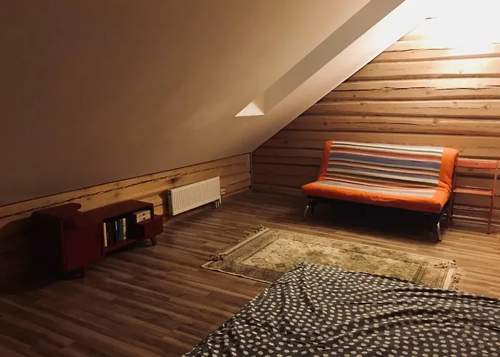 Room In A Scandinavian Style House Vilnius