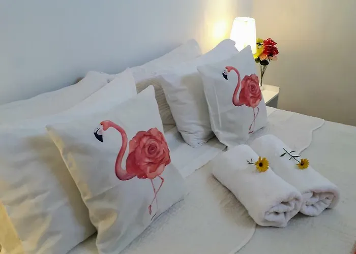 La Palma Apartment Vina del Mar