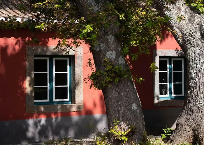 Quinta Das Vinhas Calheta 