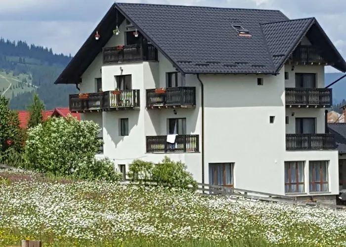 Casa Dar&And Hotel Vatra Dornei