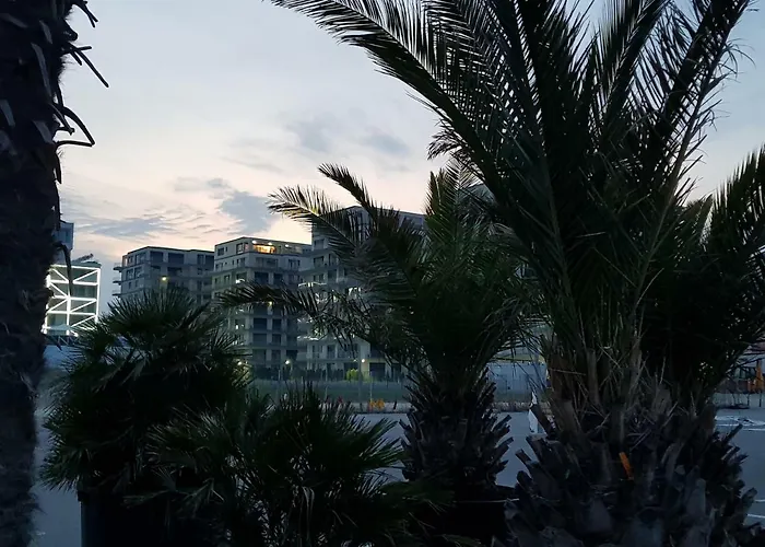 The Horse - De Silva Residence Mamaia