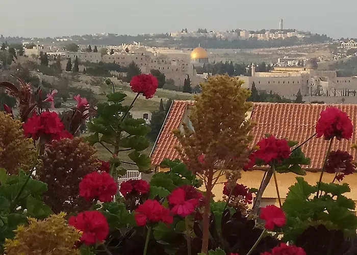 Cozy Garden Apartment Jerusalem