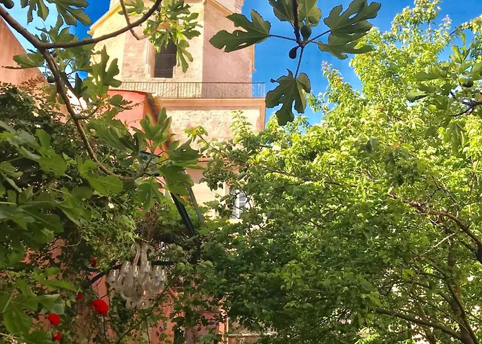Jardin Vieux Port Panier Hotel Marseille