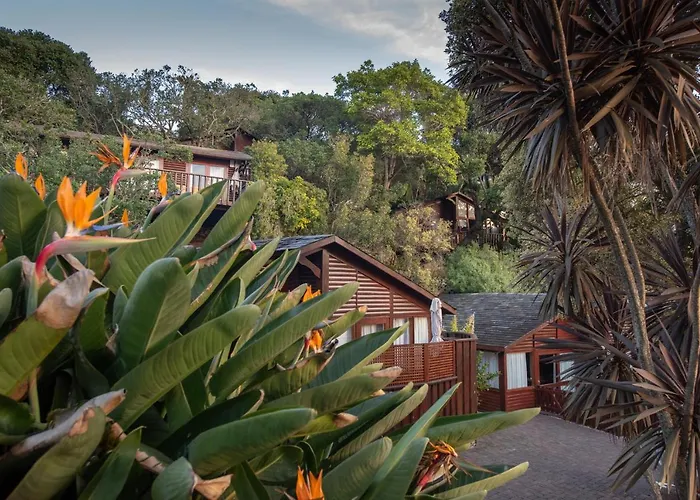 Under Milkwood Resort Knysna