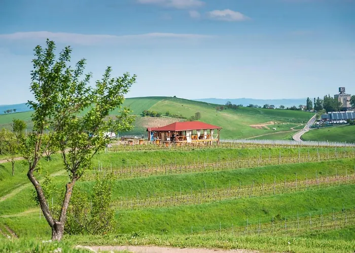 Issa Garden Hotel Turda